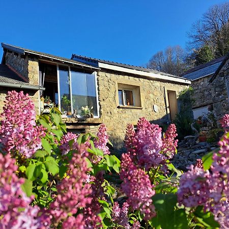 Bed and Breakfast La Bouletiere à Dourbies Extérieur photo