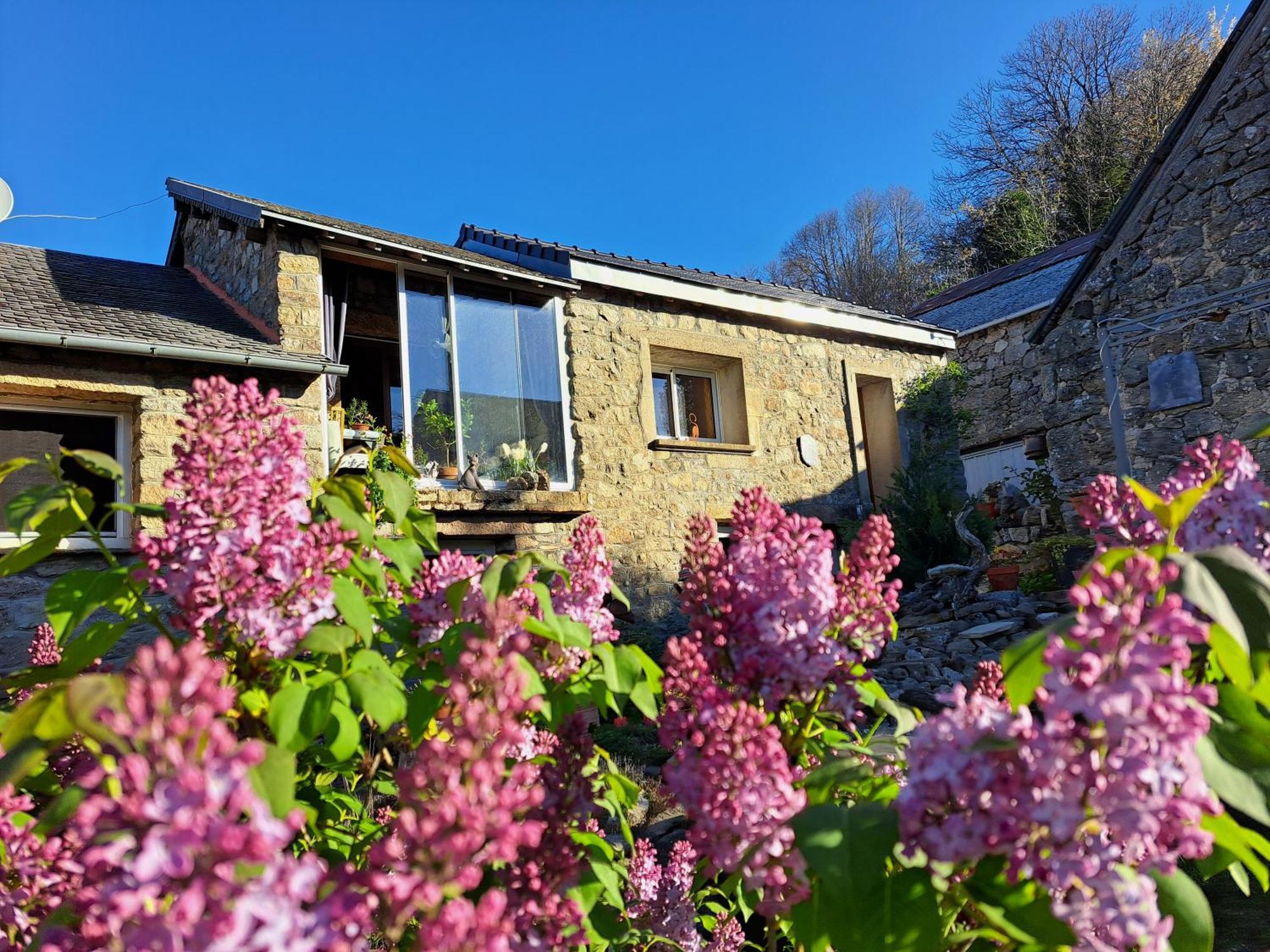 Bed and Breakfast La Bouletiere à Dourbies Extérieur photo